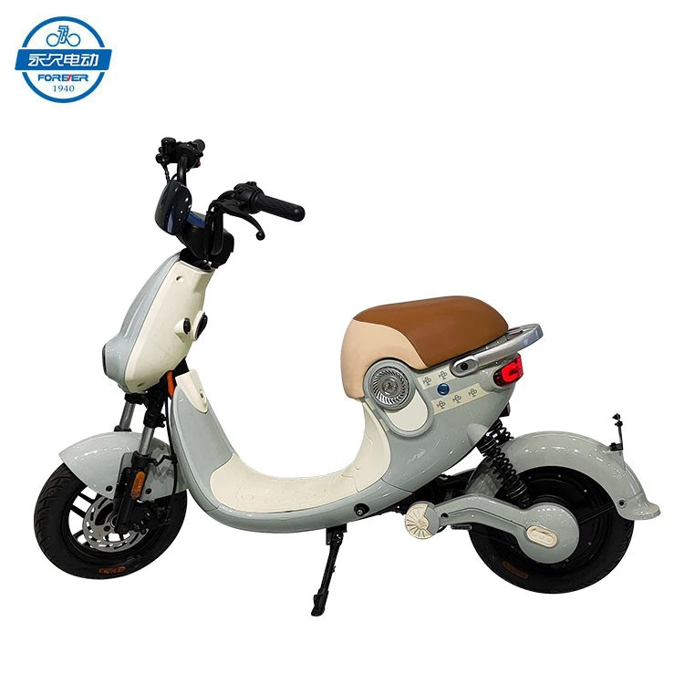Small Electric Motorcycle